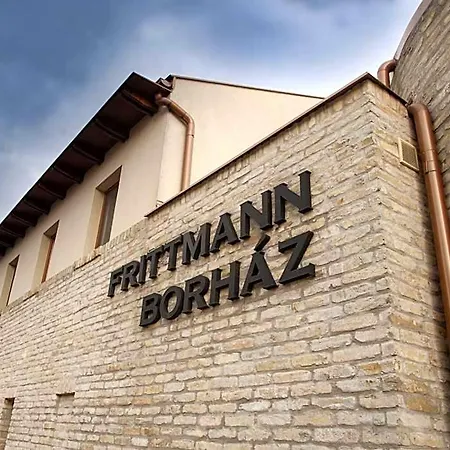 Frittmann Borhaz Nocleg ze śniadaniem Soltvadkert