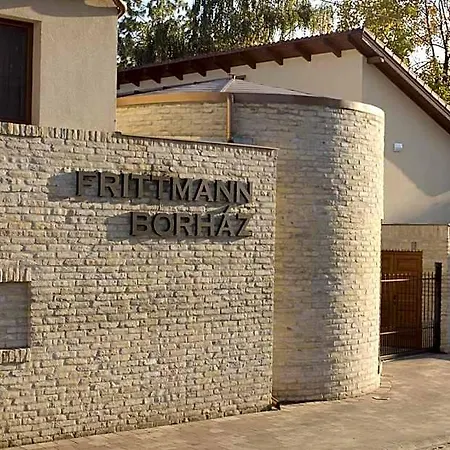Frittmann Borhaz